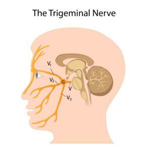 Facial Pain & Atypical Facial Pain - Ainsworth Institute